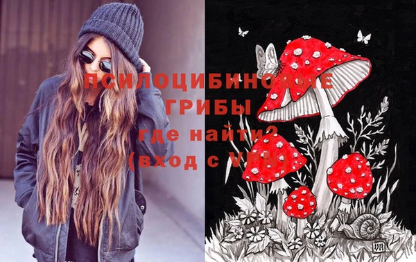 скорость Алексин